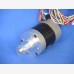 FL57BL02-BY-1 12 VDC motor, 600 rpm
